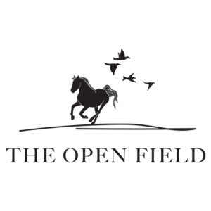 the-open-field-sq the-open-field-sq